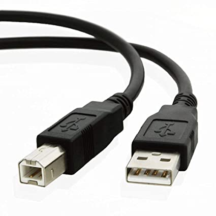 Champion USB Printer Cable | USB A to B High-Speed Cord for Printers & Scanners - Image 2