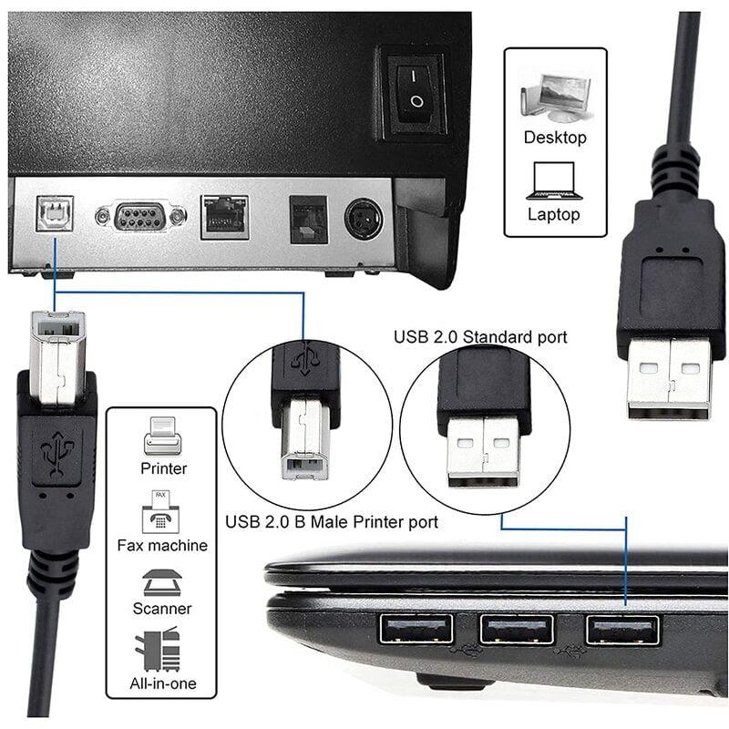 Champion USB Printer Cable | USB A to B High-Speed Cord for Printers & Scanners - Image 4
