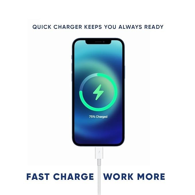 Champion Type C 20W Charger for Android, All Plus/Pro/Pro Max Models (iPhone 15/iPhone 14/iPhone 13/iPhone 12 & Others) with Built in protections & Compact Design (White) - Image 4