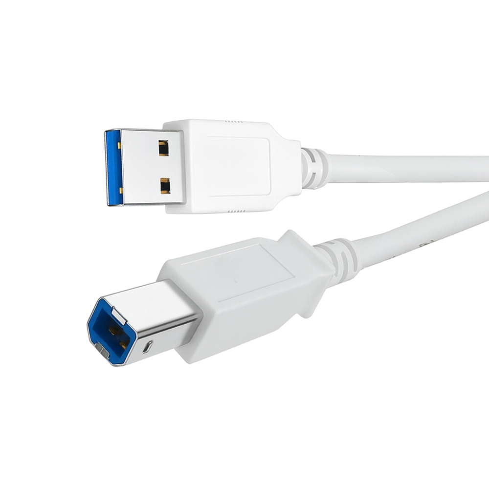 Champion USB Printer Cable | USB A to B High-Speed Cord for Printers & Scanners